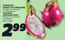 IGA PITAHAYA (DRAGON FRUIT) offer
