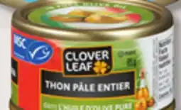 IGA CLOVER LEAF SALMON SALAD, FLAVOURED LIGHT SOLID LIGHT OR SKIPJACK LIGHT TUNA offer