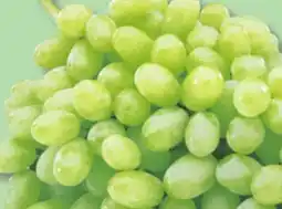 IGA SEEDLESS RED OR GREEN GRAPES offer