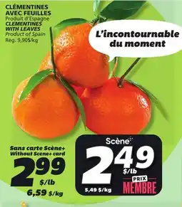 IGA CLEMENTINES WITH LEAVES offer