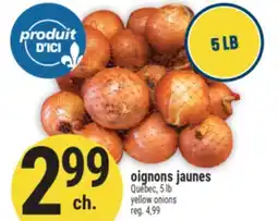 Marché Adonis OIGNONS JAUNES | YELLOW ONIONS offer