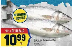 Marché Adonis LOUP DE MER (BAR COMMUN) FRAIS | FRESH SEA BASS offer