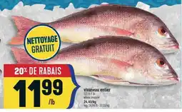 Marché Adonis VIVANEAU ENTIER | WHOLE SNAPPER offer