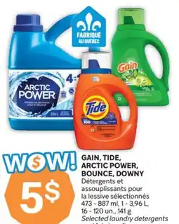Brunet GAIN, TIDE, ARCTIC POWER, BOUNCE, DOWNY Détergents et assouplissants pour la lessive sélectionnés offer