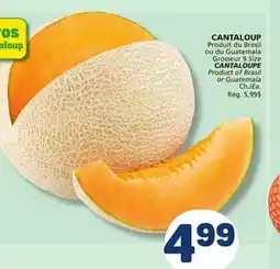 Marché Bonichoix CANTALOUPE offer