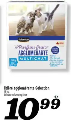 Marché Richelieu LITIÈRE AGGLOMÉRANTE SELECTION | SELECTION CLUMPING LITTER offer