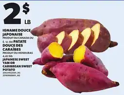 Provigo JAPANESE SWEET YAM OR CARIBBEAN SWEET POTATO offer