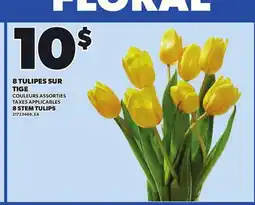 Provigo 8 STEM TULIPS offer