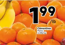 Val-Mont Clémentines Maroc offer