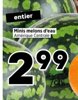 Val-Mont Minis melons d'eau Amérique Centrale offer