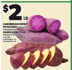 Loblaws CARIBBEAN SWEET POTATOES OR PURPLE UBE YAM offer