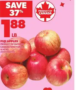 Loblaws FUJI APPLES offer