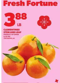 Loblaws CLEMENTINES STEM AND LEAF offer