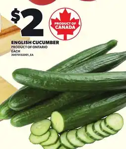 Loblaws ENGLISH CUCUMBER, EACH offer
