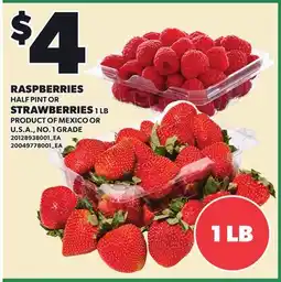 Loblaws RASPBERRIES HALF PINT OR STRAWBERRIES 1 LB offer