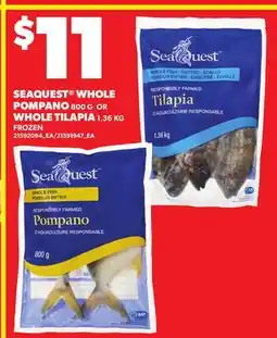 Loblaws SEAQUEST WHOLE POMPANO, 800 G OR WHOLE TILAPIA, 1.36 offer
