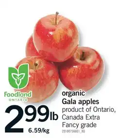 Fortinos ORGANIC GALA APPLES offer