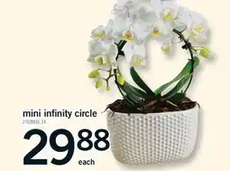Fortinos MINI INFINITY CIRCLE offer