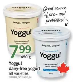 Fortinos YOGGU! DAIRY-FREE YOGURT offer