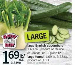 Fortinos LARGE ENGLISH CUCUMBERS OR LARGE FENNEL offer