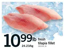 Fortinos FRESH TILAPIA FILLET offer