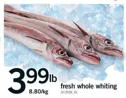 Fortinos FRESH WHOLE WHITING offer
