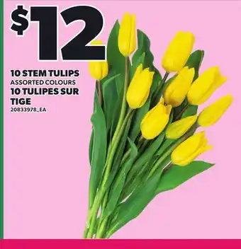 Independent Grocer 10 STEM TULIPS offer
