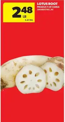 Real Canadian Superstore LOTUS ROOT offer