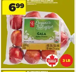 Real Canadian Superstore PC ORGANICS GALA APPLES, 3 LB offer