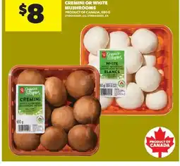 Real Canadian Superstore PC ORGANICS WHOLE CREMINI OR WHITE MUSHROOMS offer