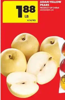 Real Canadian Superstore ASIAN YELLOW PEARS offer