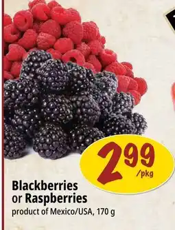 Farm Boy Blackberries or Raspberries offer