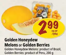 Farm Boy Canary Melons or Golden Berries offer