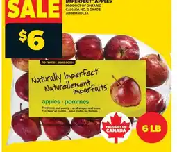 Real Canadian Superstore NO NAME NATURALLY IMPERFECT APPLES offer
