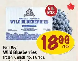 Farm Boy Farm Boy Wild Blueberries offer