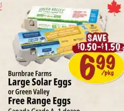 Farm Boy Burnbrae Farms Large Solar Eggs or Green Valley Free Range Eggs offer