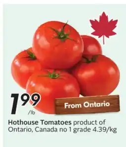 Sobeys Hothouse Tomatoes offer