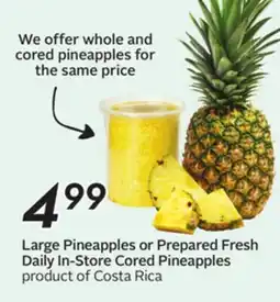 Sobeys Large Pineapples or Prepared Fresh Daily In-Store Cored Pineapples offer