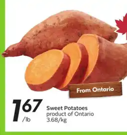 Sobeys Sweet Potatoes product offer
