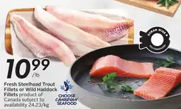 Sobeys Fresh Steelhead Trout Fillets or Wild Haddock Fillets offer