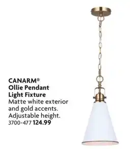 Home Hardware Ollie Pendant Light Fixture offer