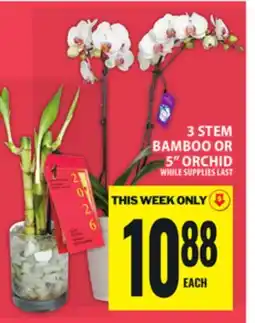 Food Basics 3 STEM BAMBOO OR 5 ORCHID offer