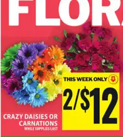 Food Basics CRAZY DAISIES OR CARNATIONS offer
