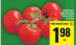 Food Basics TOMATOES ON THE VINE offer