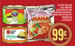 Food Basics LUCKY KOI OR Y&Y WATER CHESTNUTS OR BAMBOO SHOOTS, MAMA OR OH RICEY NOODLES offer
