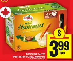 Food Basics FONTAINE SANTÉ MINI TRADITIONAL HUMMUS offer