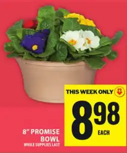 Food Basics 8 PROMISE BOWL offer