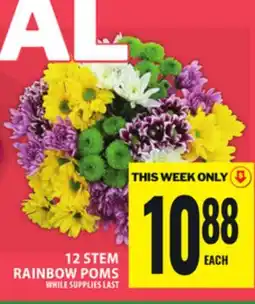 Food Basics 12 STEM RAINBOW POMS offer