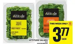 Food Basics ATTITUDE SALADS offer