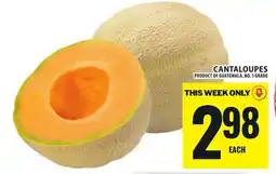 Food Basics CANTALOUPES offer